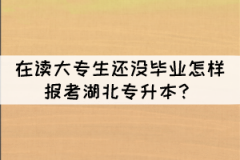 在讀大專生還沒畢業(yè)怎樣報(bào)考湖北專升本？