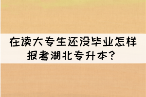 在讀大專生還沒畢業(yè)怎樣報(bào)考湖北專升本？