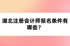 湖北注冊會計師報名條件有哪些？