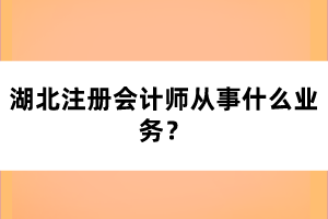 湖北注冊(cè)會(huì)計(jì)師從事什么業(yè)務(wù)？