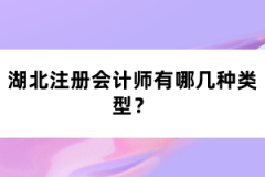 湖北注冊會計師有哪幾種類型？