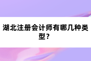 湖北注冊會計師有哪幾種類型？