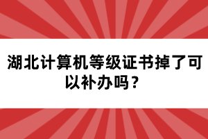 湖北計算機等級證書掉了可以補辦嗎？