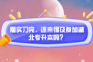剛實(shí)習(xí)完，還來(lái)得及參加湖北專(zhuān)升本嗎？