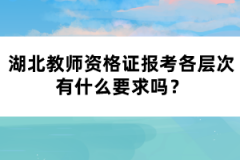 湖北教師資格證報考各層次有什么要求嗎？