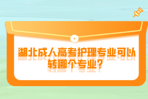 湖北成人高考護(hù)理專(zhuān)業(yè)可以轉(zhuǎn)哪個(gè)專(zhuān)業(yè)？