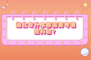 湖北專升本都需要考哪些科目？