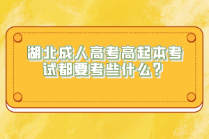 湖北成人高考高起本考試都要考些什么？