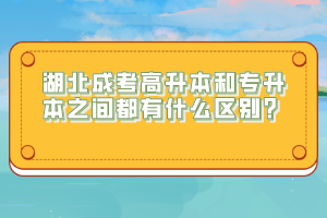 湖北成考高升本和專升本之間都有什么區(qū)別？