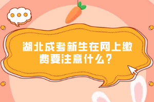 湖北成考新生在網(wǎng)上繳費(fèi)要注意什么？