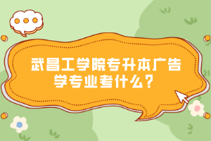武昌工學(xué)院專升本廣告學(xué)專業(yè)考什么？