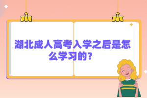 湖北成人高考入學(xué)之后是怎么學(xué)習(xí)的？