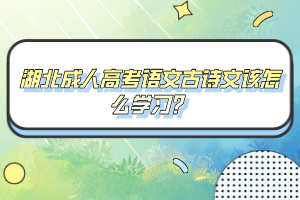 湖北成人高考語文古詩文該怎么學習？