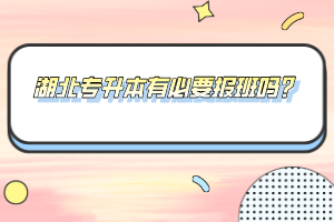 湖北專升本有必要報班嗎？