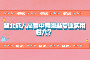湖北成人高考中有哪些專業(yè)實用性大？
