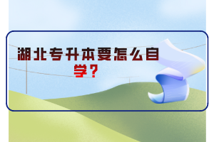 湖北專升本要怎么自學(xué)？