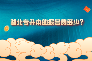 湖北專升本的報名費多少？
