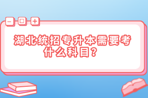 湖北統(tǒng)招專升本需要考什么科目？