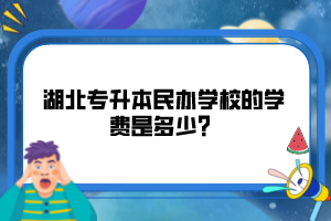 湖北專(zhuān)升本民辦學(xué)校的學(xué)費(fèi)是多少？