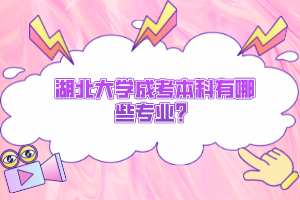 湖北大學(xué)成考本科有哪些專業(yè)？