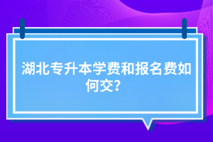 湖北專升本學(xué)費(fèi)和報(bào)名費(fèi)如何交？