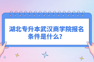 湖北專升本武漢商學院報名條件是什么？