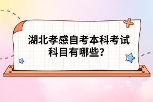 湖北孝感自考本科考試科目有哪些?