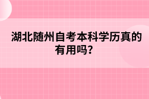 湖北隨州自考本科學歷真的有用嗎？