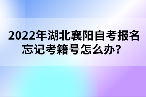 2022年湖北襄陽自考報名忘記考籍號怎么辦？