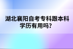 湖北襄陽(yáng)自考?？聘究茖W(xué)歷有用嗎？