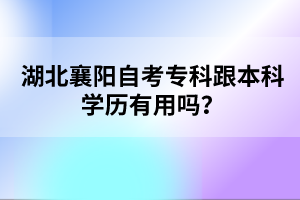湖北襄陽自考專科跟本科學(xué)歷有用嗎？