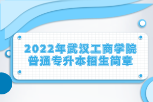2022年武漢工商學(xué)院普通專升本招生簡章