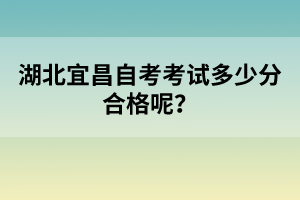 湖北宜昌自考考試多少分合格呢？