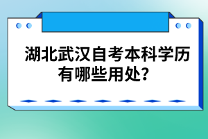 湖北武漢自考本科學歷有哪些用處？