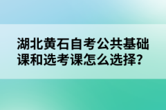湖北黃石自考公共基礎(chǔ)課和選考課怎么選擇？