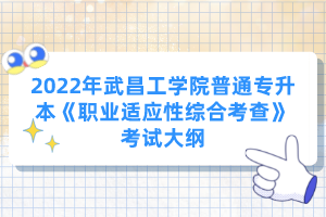 2022年武昌工學(xué)院普通專升本《職業(yè)適應(yīng)性綜合考查》考試大綱