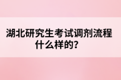 湖北研究生考試調劑流程什么樣的？
