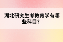 湖北研究生考教育學有哪些科目？