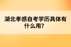 湖北孝感自考學歷具體有什么用？