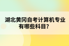 湖北黃岡自考計(jì)算機(jī)專(zhuān)業(yè)有哪些科目？