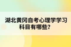 湖北黃岡自考心理學(xué)學(xué)習(xí)科目有哪些？