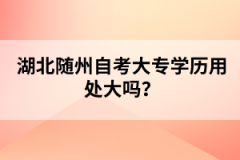 湖北隨州自考大專(zhuān)學(xué)歷用處大嗎？