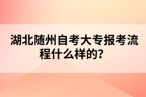 湖北隨州自考大專報考流程什么樣的?