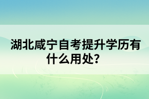 湖北咸寧自考提升學(xué)歷有什么用處?