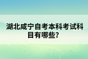 湖北咸寧自考本科考試科目有哪些?