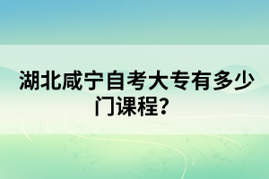 湖北咸寧自考大專有多少門課程？