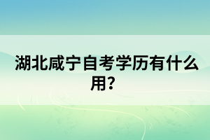 湖北咸寧自考學(xué)歷有什么用？