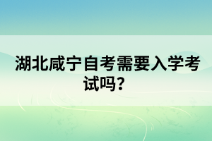湖北咸寧自考需要入學(xué)考試嗎?