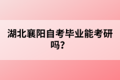 湖北襄陽(yáng)自考畢業(yè)能考研嗎？