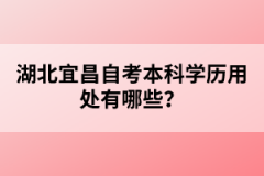 湖北宜昌自考本科學歷用處有哪些？